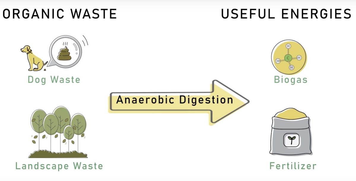 Graphic describing how anaerobic digestion works