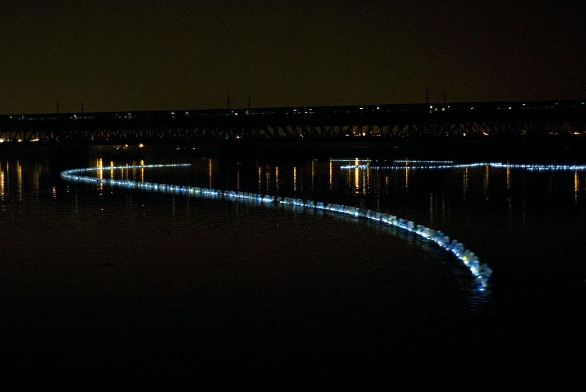 Kirloskar Visiting Scholar Asim Waqif's Andekhi Jumna (2011), a large sculpture on the Yamuna river