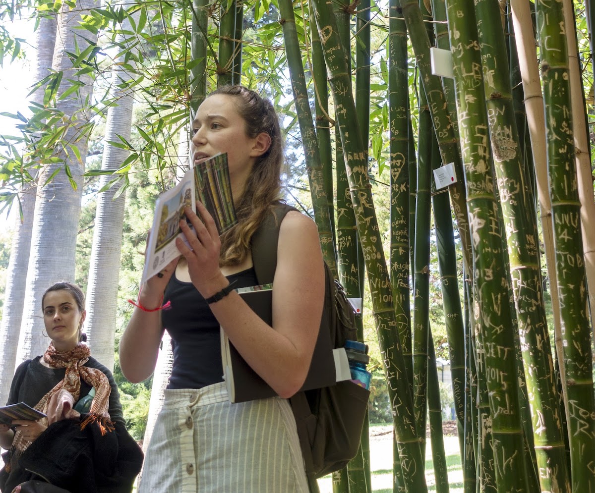 Jasmine Gutbrod 20 FD, amidst bamboo