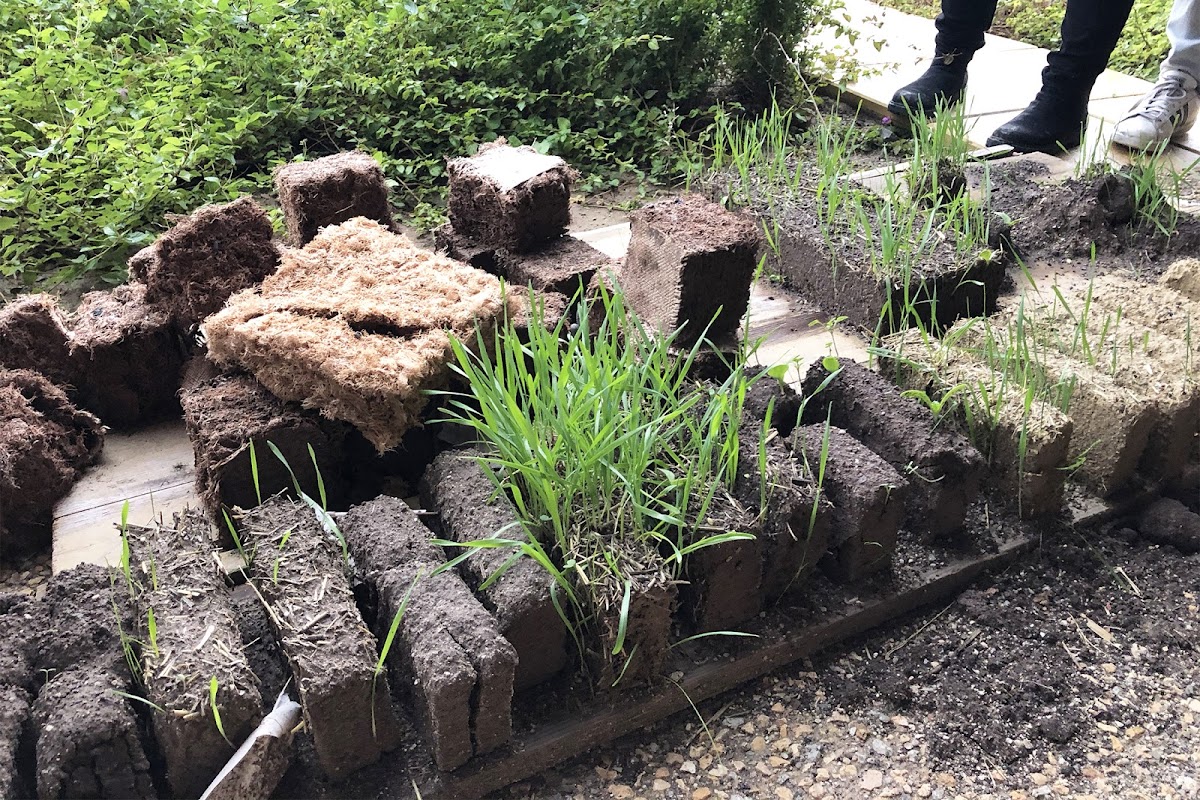 Soil segments and grasses sprouting