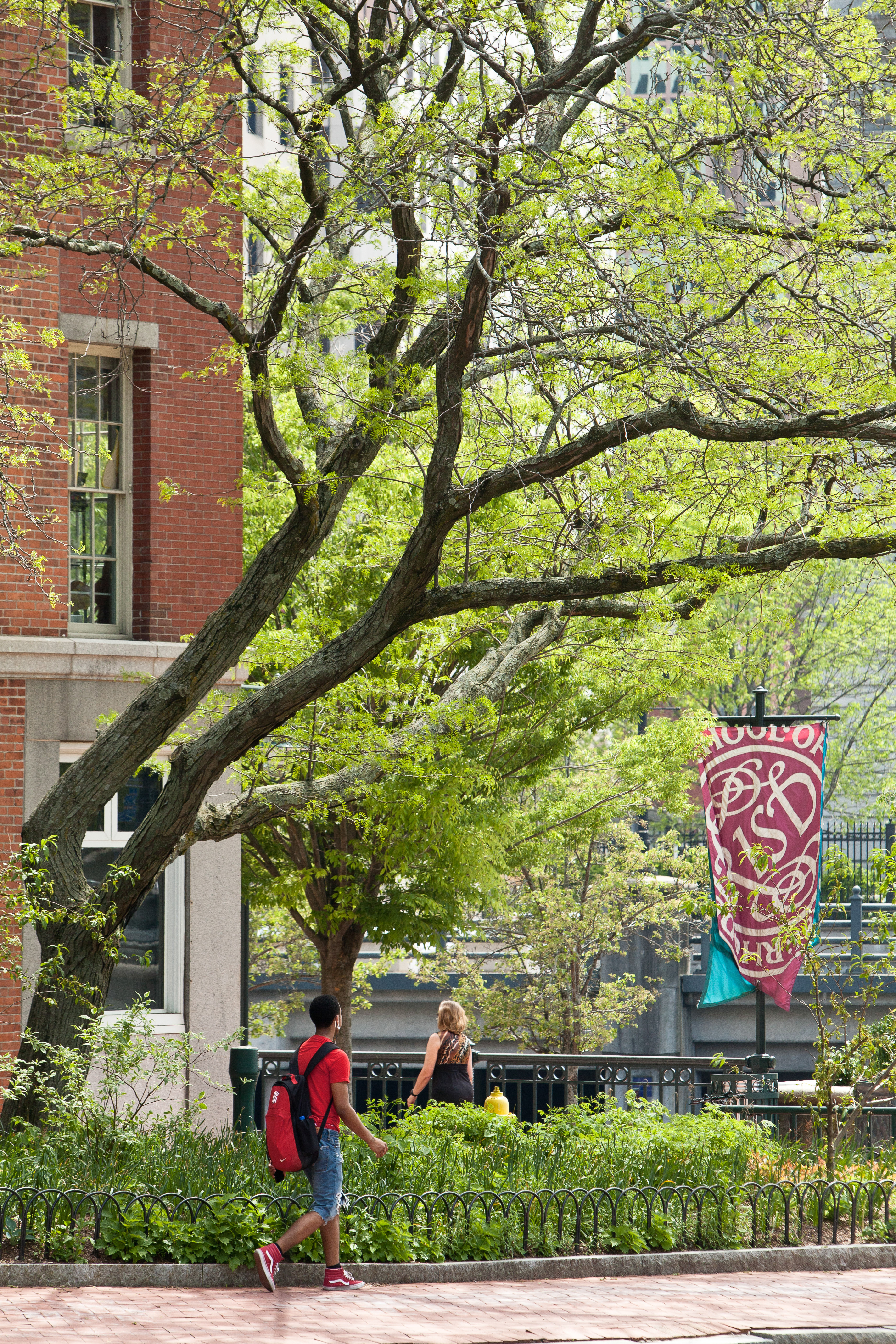 RISD campus