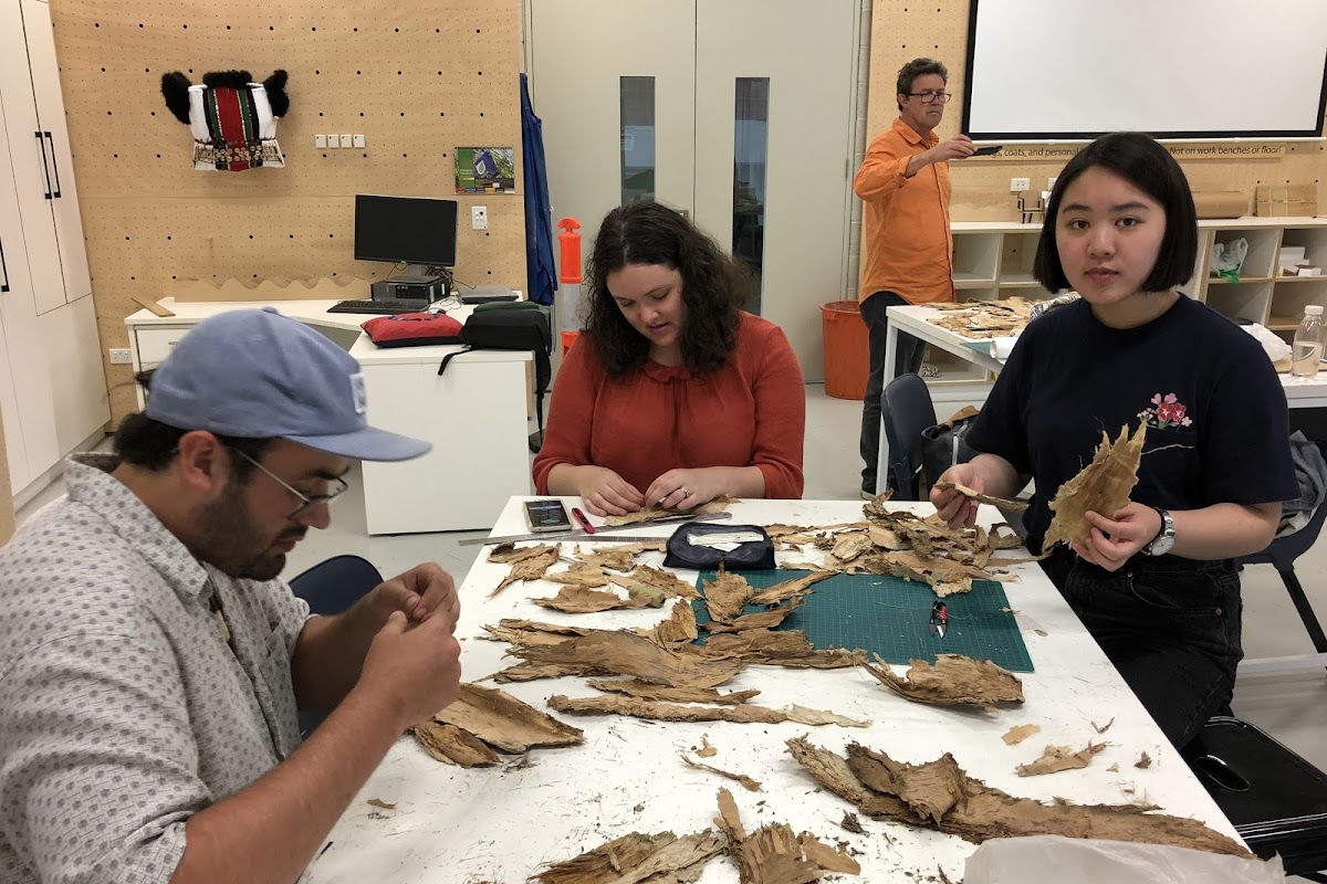 Students explore the properties of bark from local species