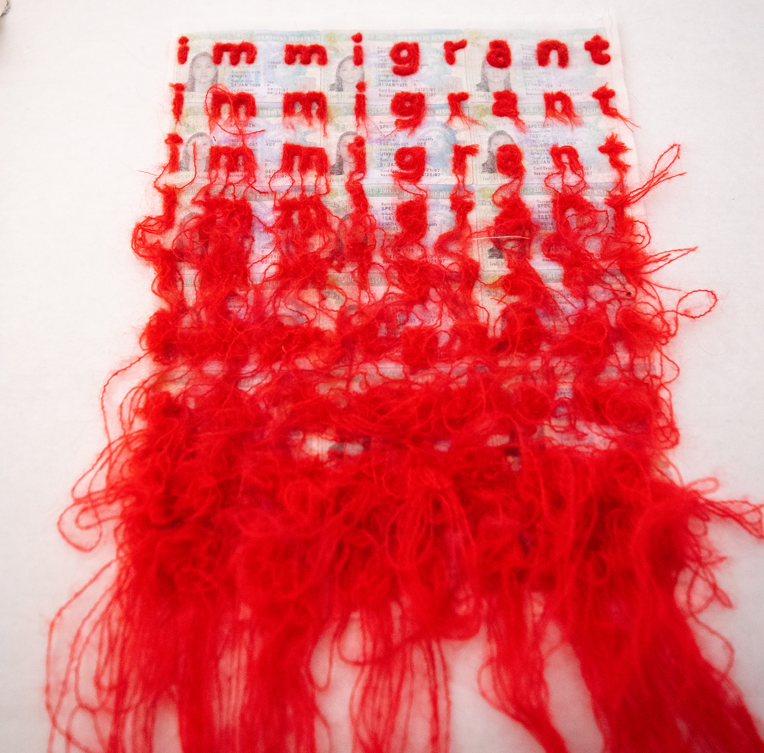 a bright red fluffy weaving that reads immigrant