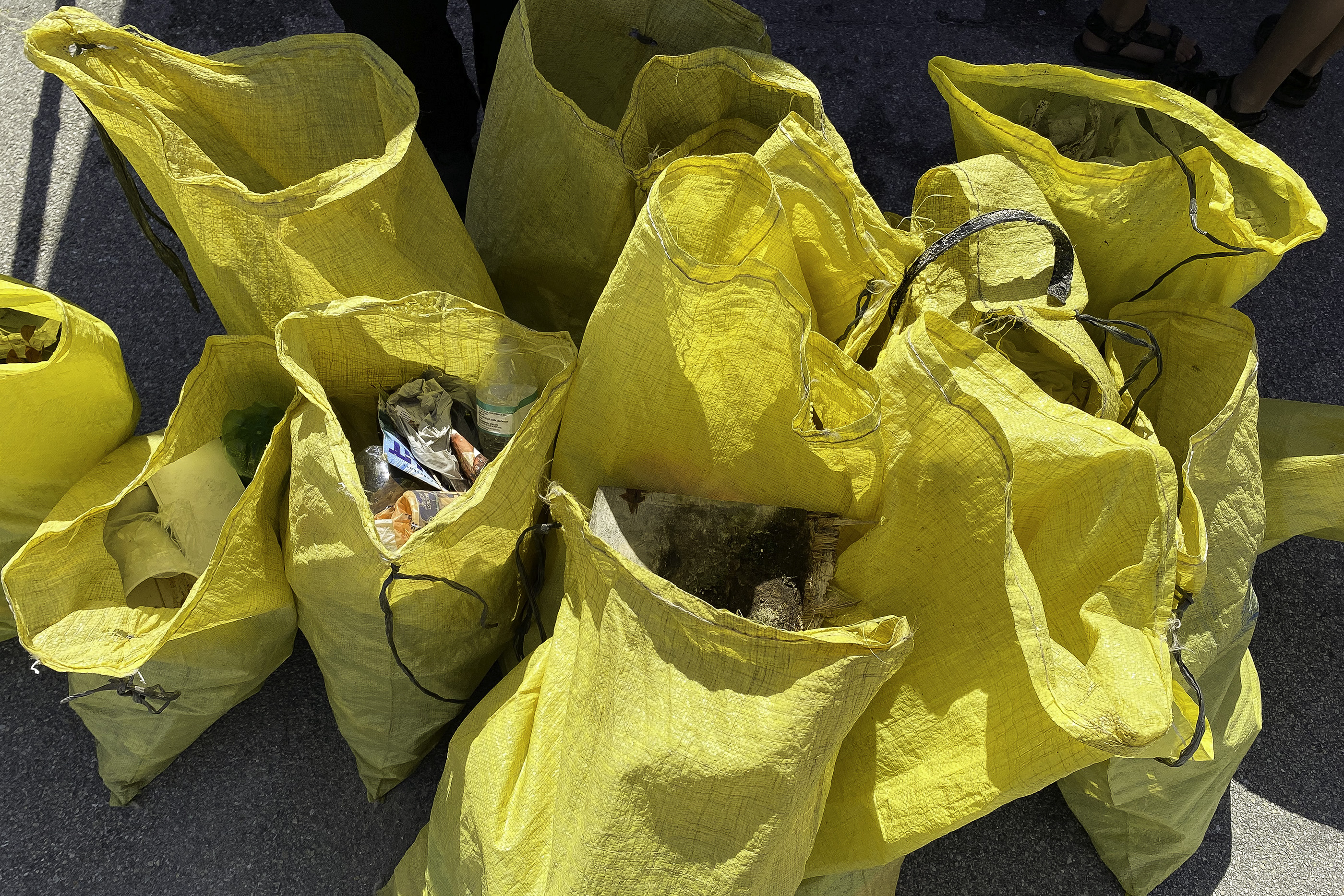 Several bags of trash collected during a beach cleanup