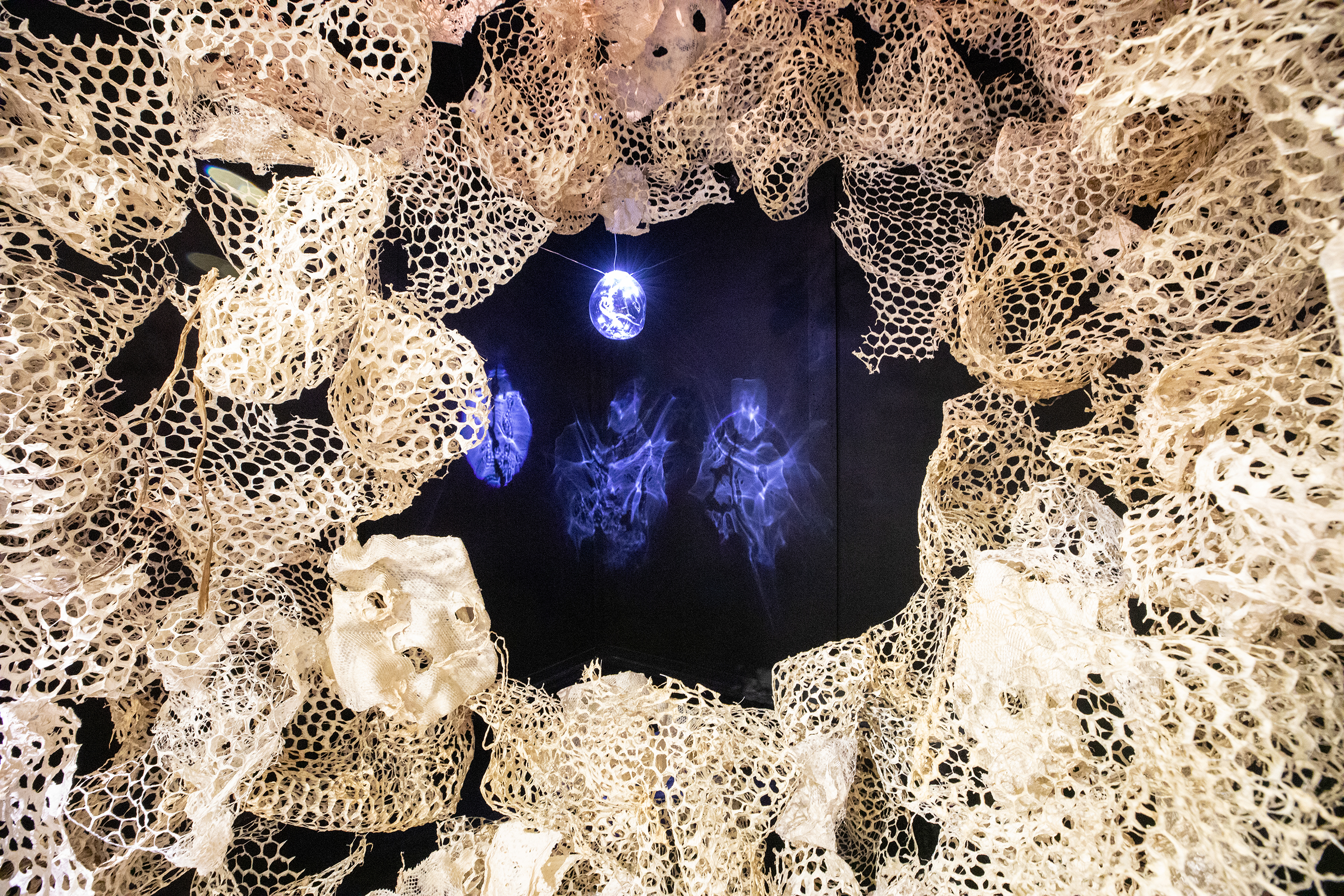 mesmerizing installation featuring luna moth crysallis