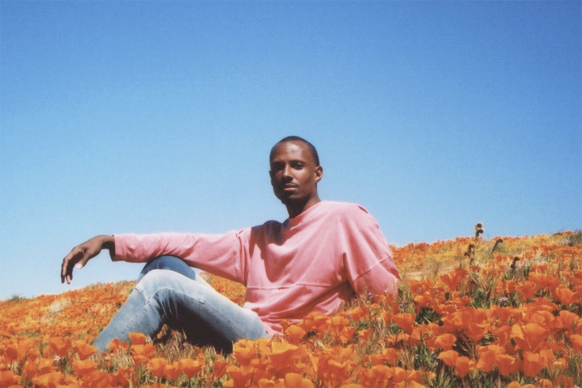 a man sitting in a field of orange flowers