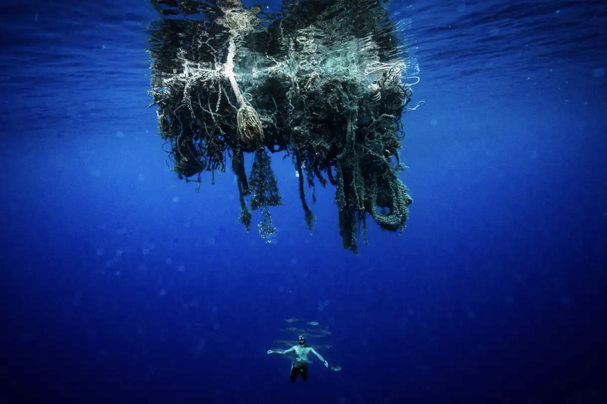diver with trash in the Pacific Ocean