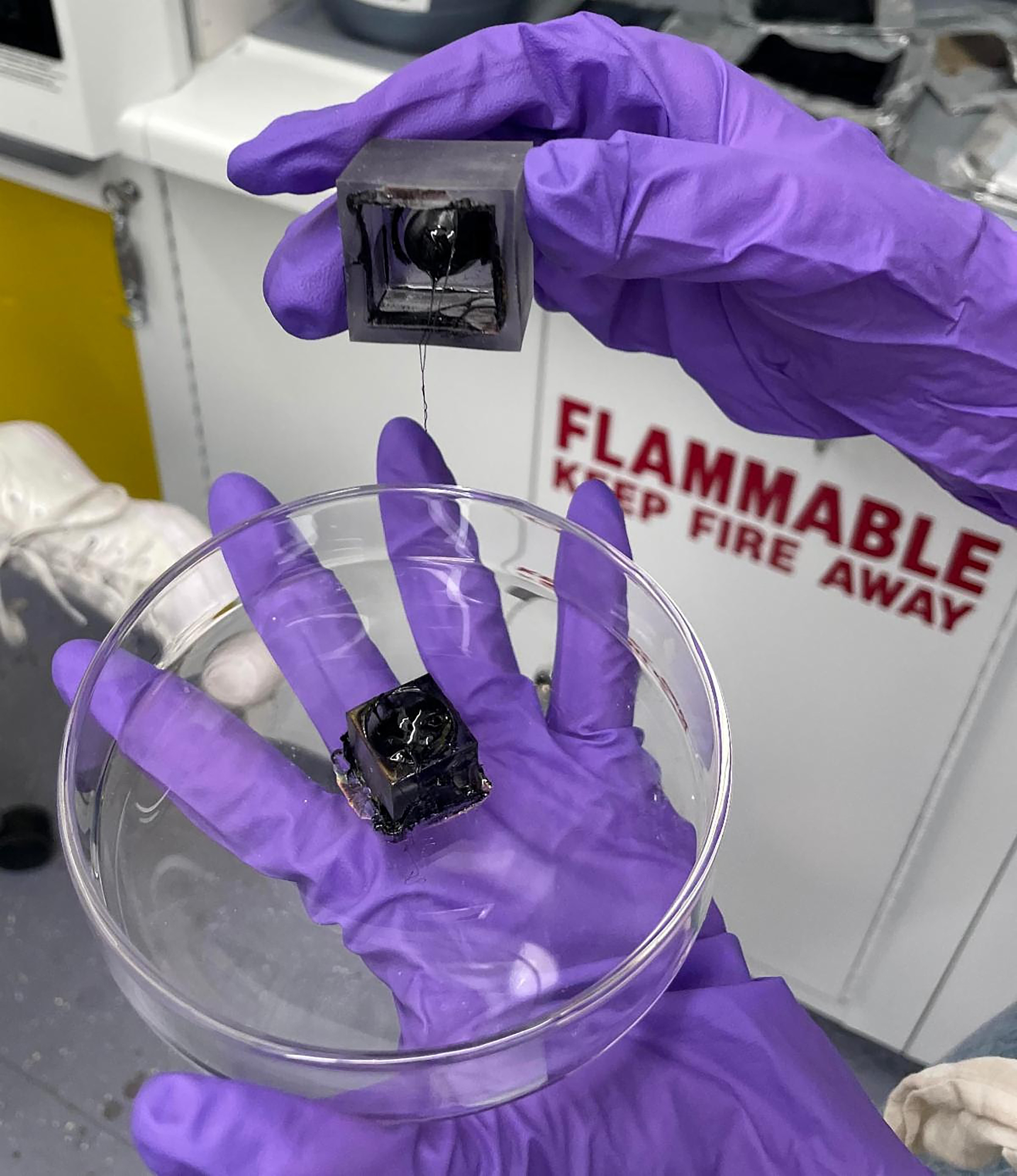 gloved hands hold a petri dish in a lab