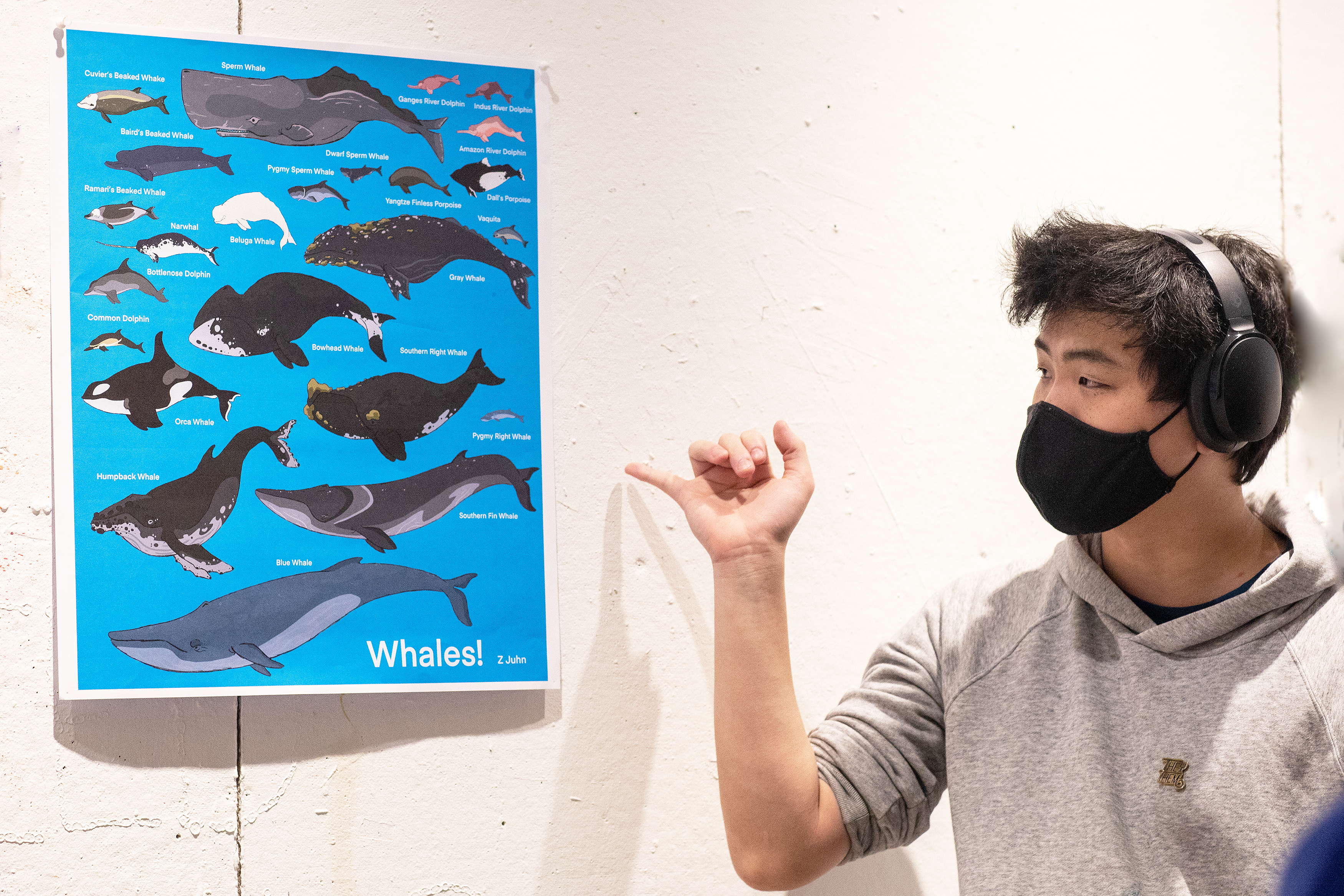 student presents educational whale poster