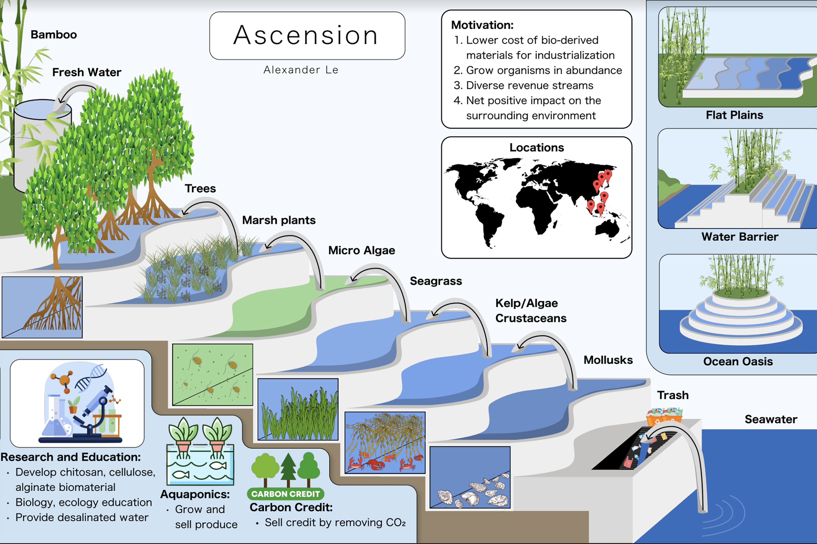 An illustration of Alexander Le's final project, a sustainable water filtration system that uses kelp and algae