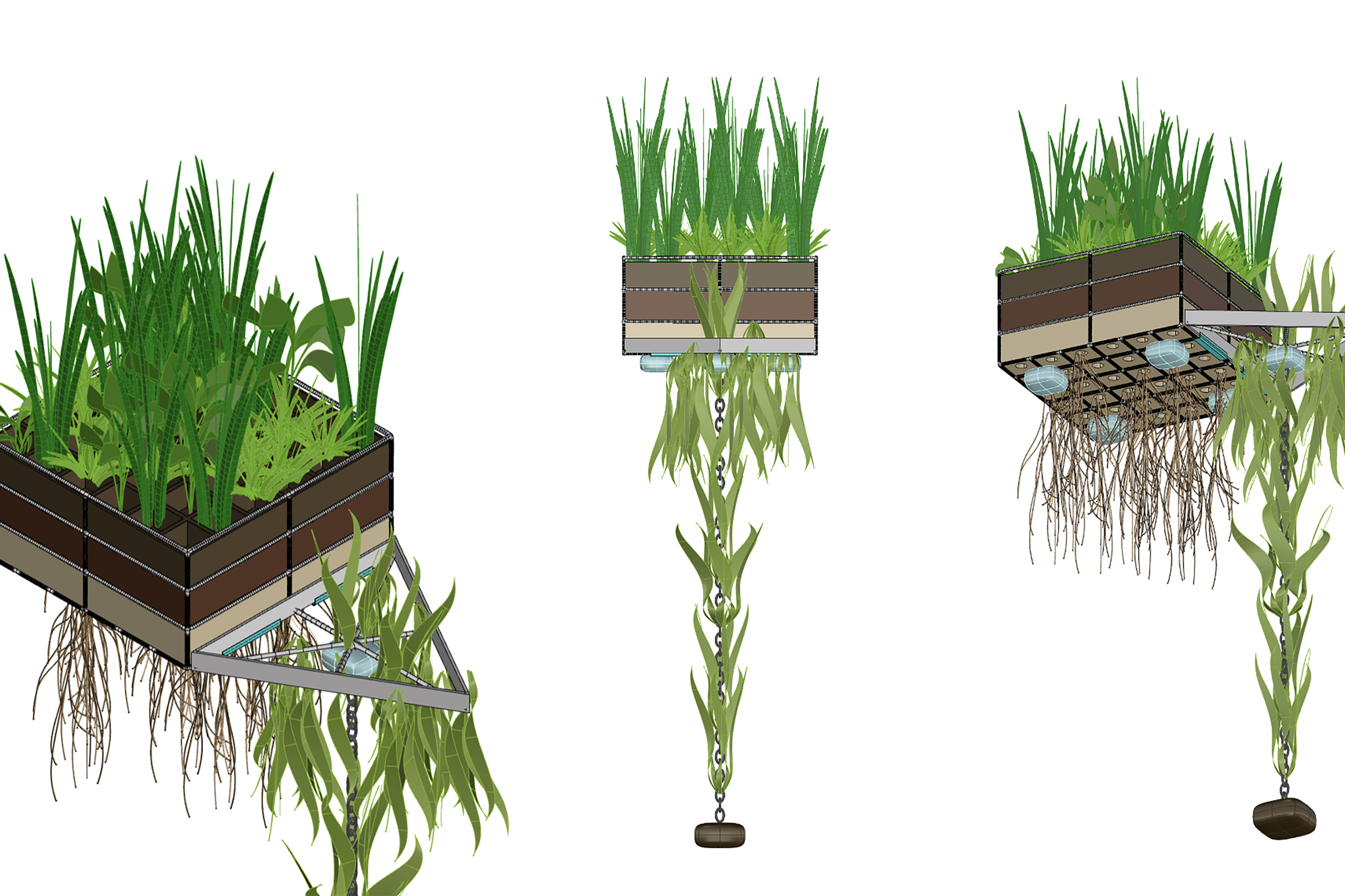 Manini Banjeree's Biopod, a floating box of non-synthetic plants with root systems that naturally purify water