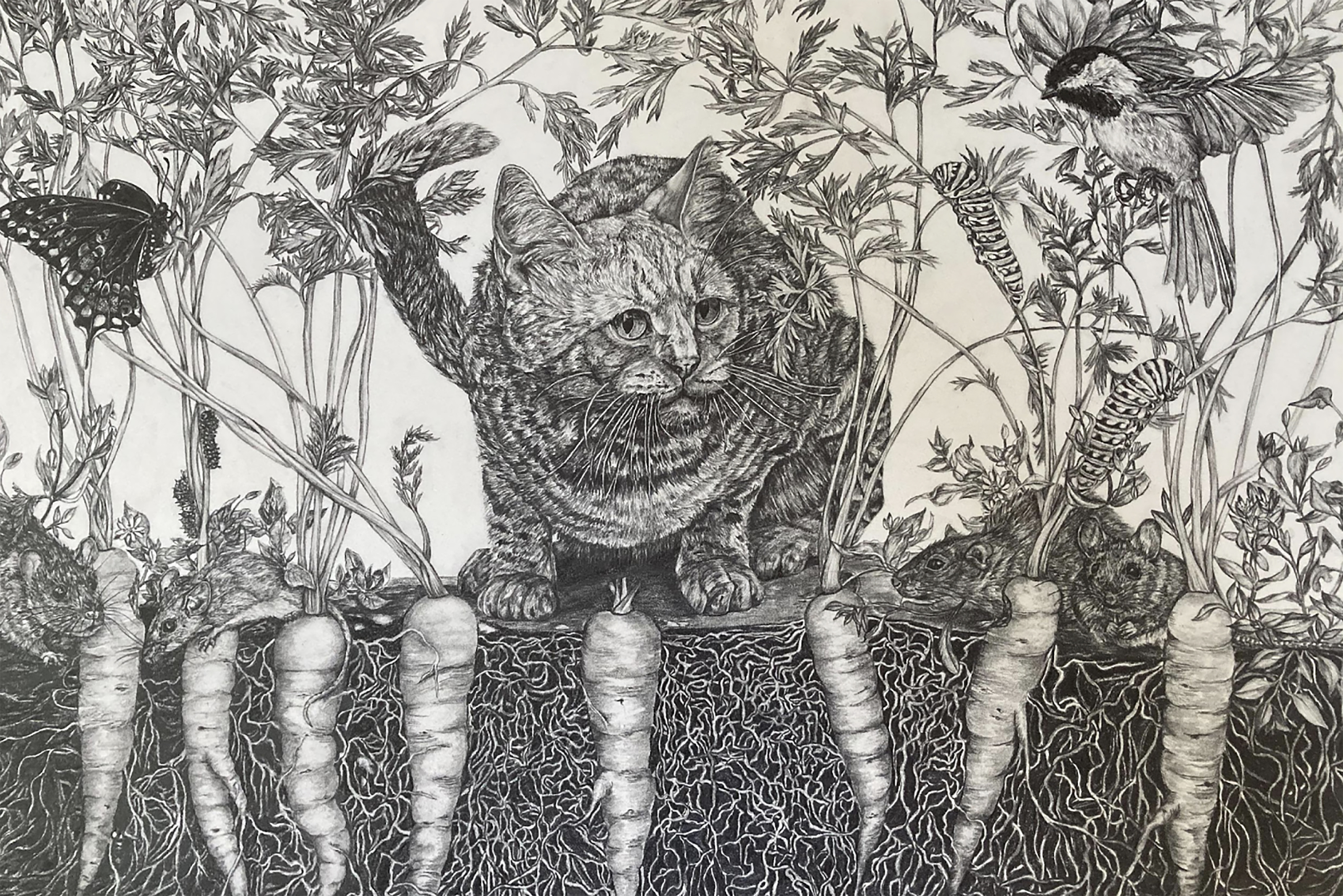 A black and white illustration of a striped tabby cat crouched on the ground surrounded by birds, bugs, rodents, and carrot tops
