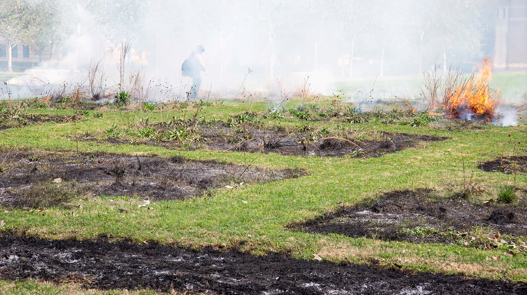 Prairie Plots undergoes a controlled burn