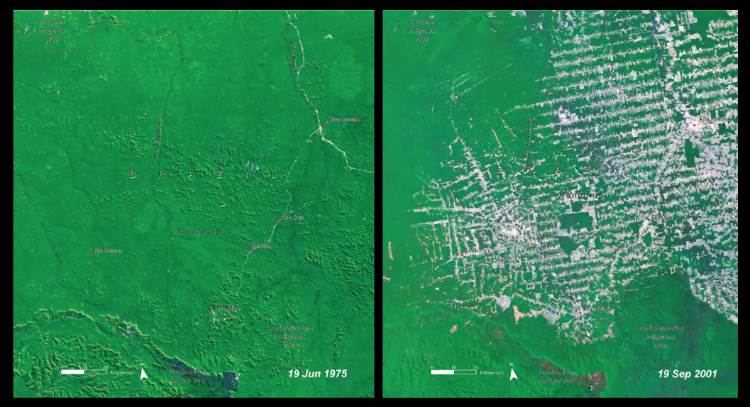 before and after shots of the devastated Amazon forest