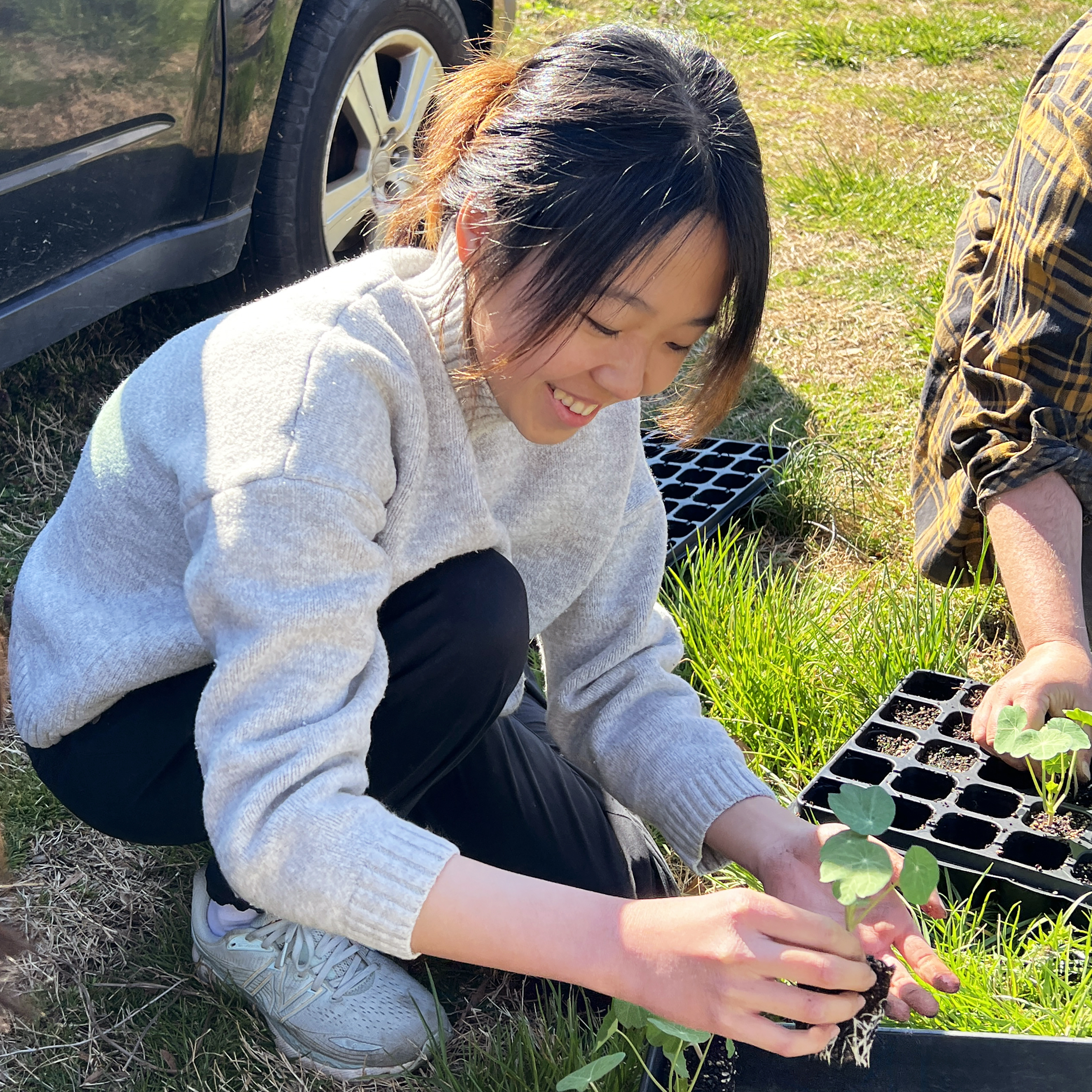 Student Leader Viola Tan smiles while holding a young edible flower plant that will be planted on the farm