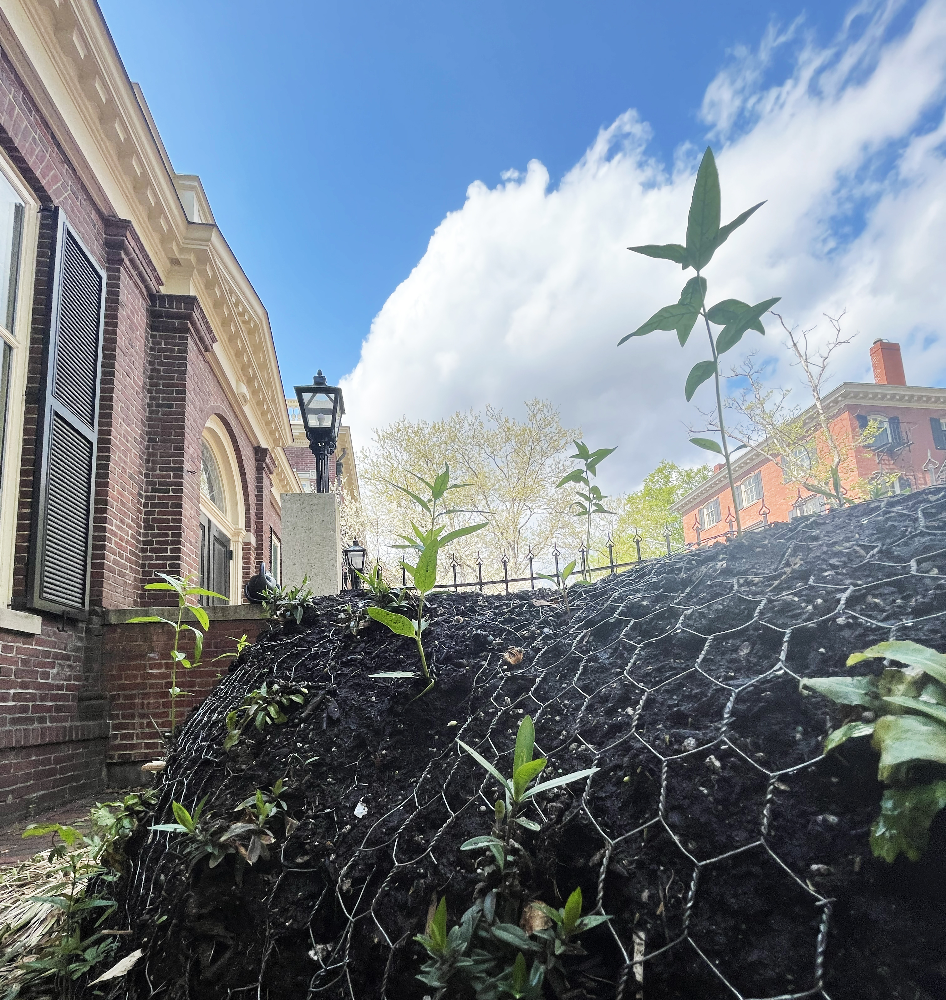 view of Peck installation with blue sky above