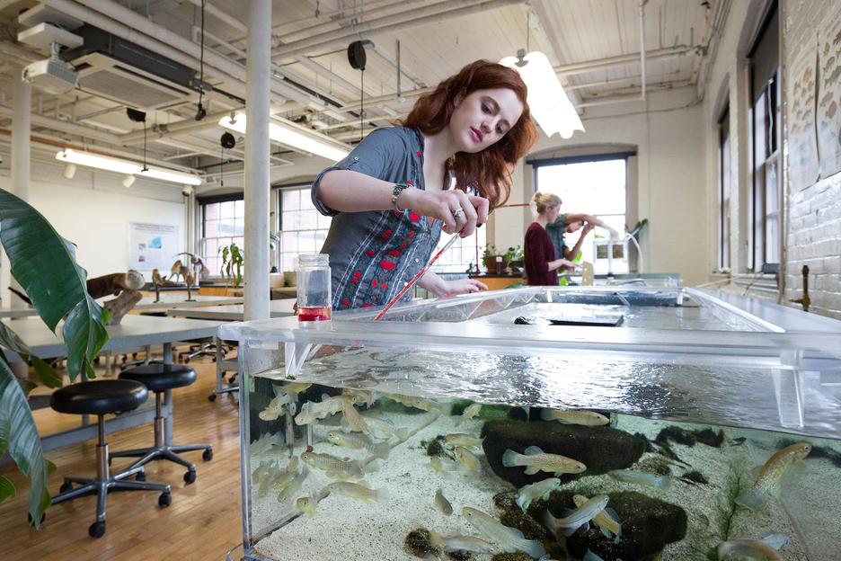 Student feeding fish at the Nature Lab