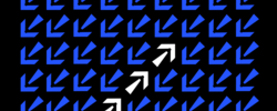 White arrows pointed upward against blue arrows pointing down