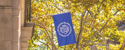 Blue RISD flag against yellow autumn leaves
