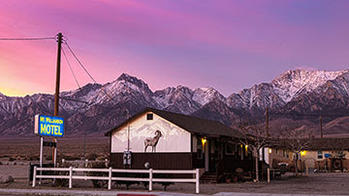 Mural of Sierra Nevada Big Horn Sheep on the side of a scenic mountain motel