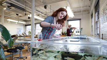 Student feeding fish at the Nature Lab