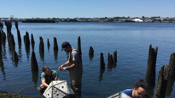 Students constructing concrete polygons and submerging them into a river.