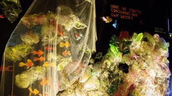 an installation by RiSD alum Mudita Pasari addressing environmental pollution