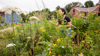 Student in field of flowers doing research.