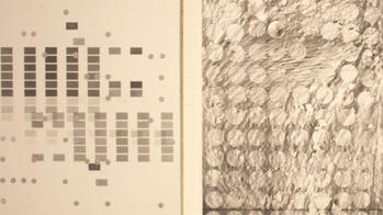 detail of piece in show