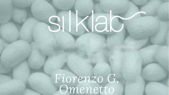 talk poster showing egg-like stones