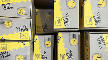nine boxes that include a streak of yellow color and the words "Wild Lives" printed on one of their sides