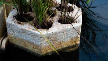a hexagonal honeycomb structure sprouting greenery floats in a body of water