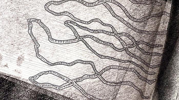 detail of image showing what looks like intertwining rivers on a map