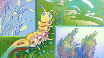 colorful illustration of insects and flora