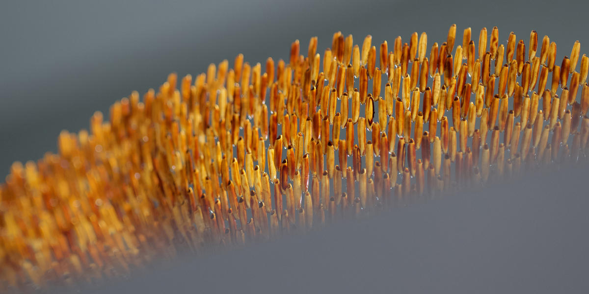 Fine Arts Portfolio Review 2024 Helps RISD Students Plan Creative