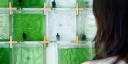 Grad student Hyunseok An MID 20 introduces an easy-to-use micro-algae farming kit