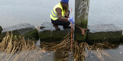 Megan Valanidas MID 18 submerges biodegradable objects in ocean water to track their rates of decay