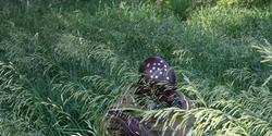 Individual in high grasses with stars on head, from a series of self-portraits by visiting artist Mitchell Squire exploring his evolving identity