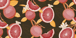 Grapefruits piece by CE online student Laura Jones