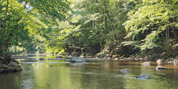 Photograph of a stream by Associate Professor Jennifer Prewitt-Freilino