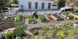 looking down on The Plot