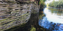 wattle erosion fence in progress