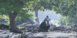 students sketching under tropical trees