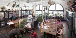 students at work in the Nature Lab