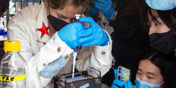 Students gather around a lab and conduct an experiment on biomaterials