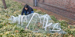 Dorner Prize winner Claudia Peck works on outdoor garden installation