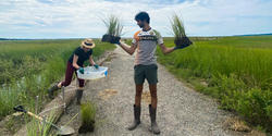 Katia Zolotovsky and Varun Mehta gather plants from marsh