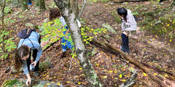 students collect mushrooms in Lincoln Woods