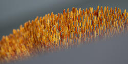 detail of sculpture incorporating tiny points of light in an arc