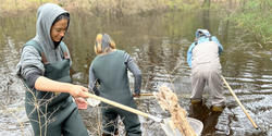 students wearing waders use nets to collect biological samples from a pond